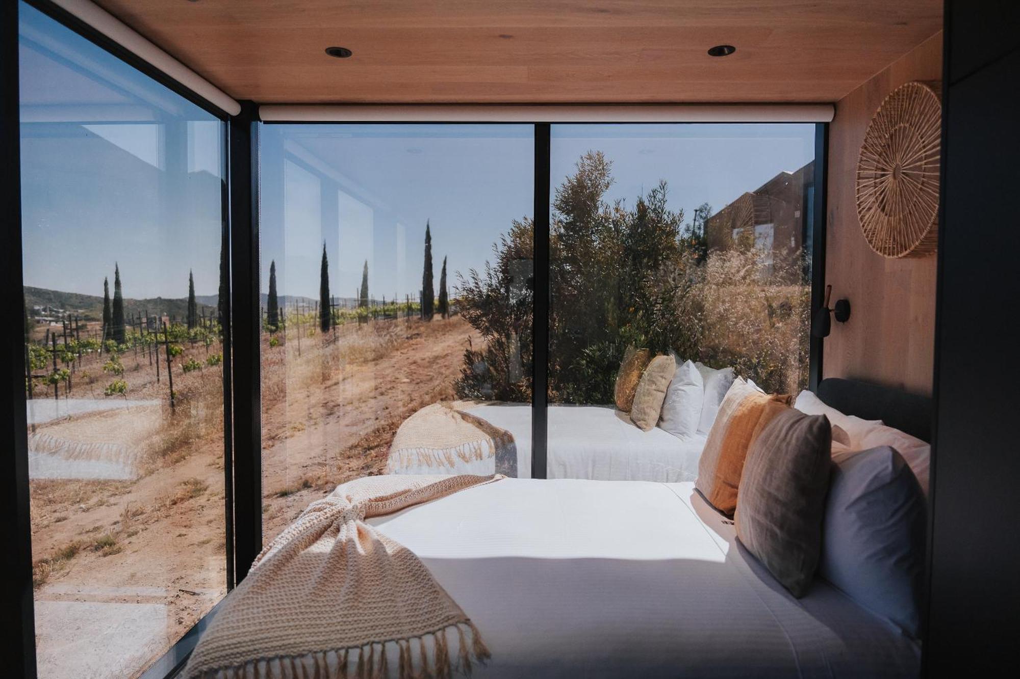 Bajo Estrellas Hotel Contemporaneo 瓜达鲁佩镇 外观 照片